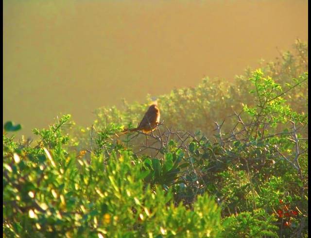 LAND FOR SALE IN DANA BAY